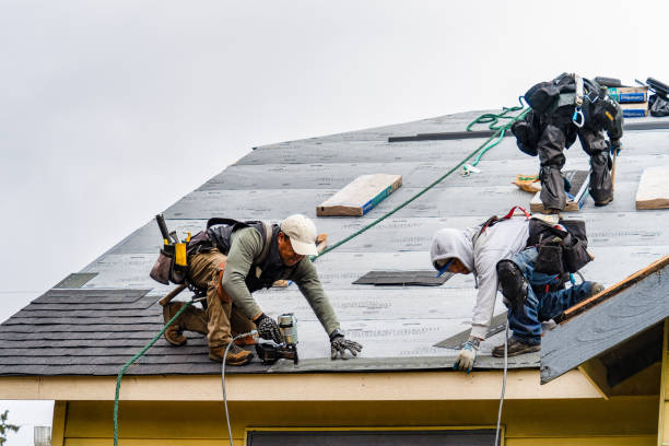 Professional Gutter Installation technician working in Egypt, TX